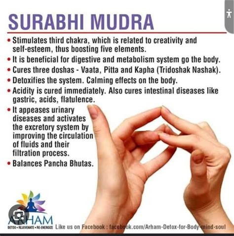 This practice helps to bring this balance the right way, making menopause smooth. . Mudra for hormonal imbalance in females